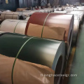 Mainit na pagbebenta ng SGCC Green Prepainted Steel Coil